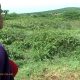 My Samburu Moran Part 1