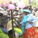 Mazishi Ya Ajabu Yaandaliwa Emuhaya, Kakamega