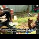 Dangerous Innocence  Crime In Nairobi