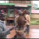 Mwizi Wa Mbuzi Apata Adhabu Murang'a