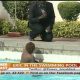 Power Breakfast Interview:Eric Omondi in The Swimming Pool