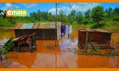 Rain Havoc: Floods Kill Nine and Displace Thousands