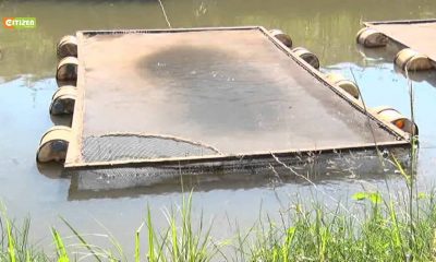 Smart Farm – Caged Fish Farming