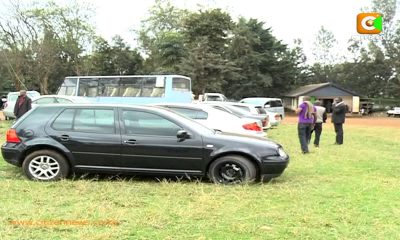 Sakata ya Magari ya Wizi