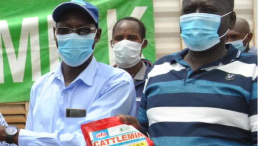 Narok dairy farmers earn Sh800 million