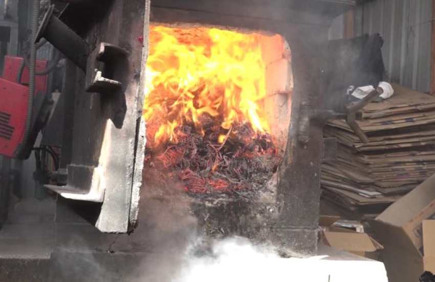Bhang worth Sh4 million destroyed in Embu [VIDEO]