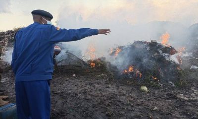 No white smoke: Kenya Rastafarians’s quest for legalising marijuana billows but…