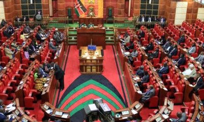 Parliament Exempts Artists from Excise Duty