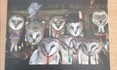 Book Review: Parliament of Owls by Adipo Sidang