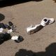End of The Road: Nairobi’s Notorious Katobi Gang Members Killed