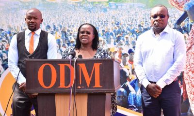 ODM Breaks Silence on Direct Issuance of Party Ticket