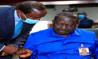 Top 10 News in Brief: Kalonzo Now Hints at Not Supporting Raila in New Message