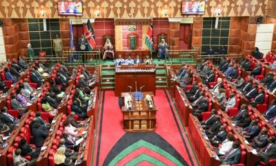MPs Accept Live Streaming of Presidential Results