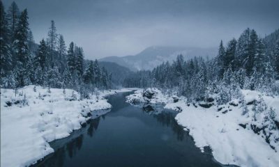 Friends to strangers – Ekoroi