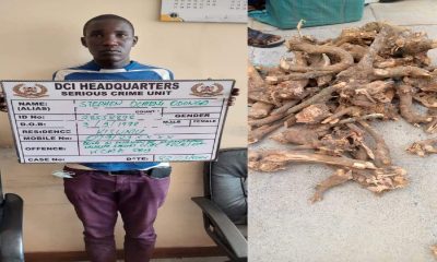 Men Arrested While Ferrying Sandalwood Whose Harvest is Banned