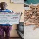 Men Arrested While Ferrying Sandalwood Whose Harvest is Banned