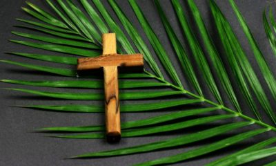 Who Do You Carry? Jesus, The Jerusalem Donkey, And The Jerusalem Entry