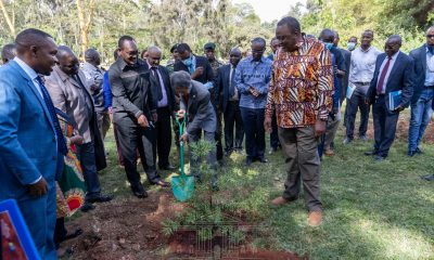 Uhuru to Launches Accelerated National Tree Growing Campaign