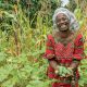 The Way I See It: Improving Livelihoods… But Useless Politics