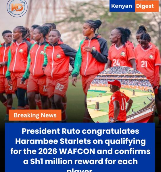 President Ruto Congratulates Harambee Starlets, Pledges Sh1 Million Each After Historic WAFCON Qualification