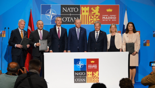 NATO leaders and representatives of Finland and Sweden during NATO membership talks.