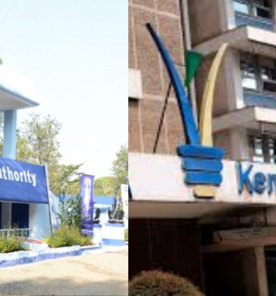 How Powerful Politicians Are Using Proxies to Privatize Kenya’s Public Assets