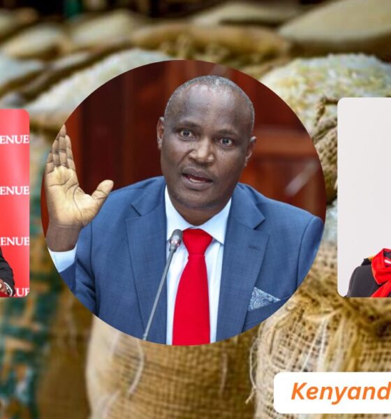 EXPOSED: Court Filings Show How Cs Mbadi, Watanga and Nyawanda Approved Sh5.5 Billion Illegal Rice Imports